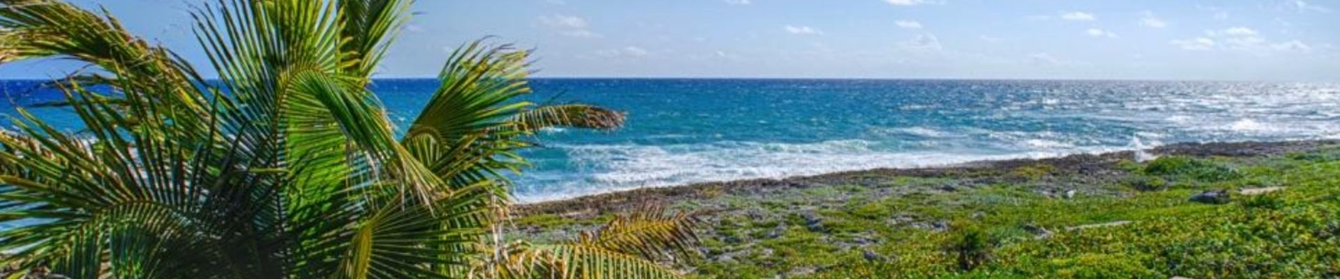 Alicia Munoz asesora inmobiliaria Playa del Carmen Riviera Maya