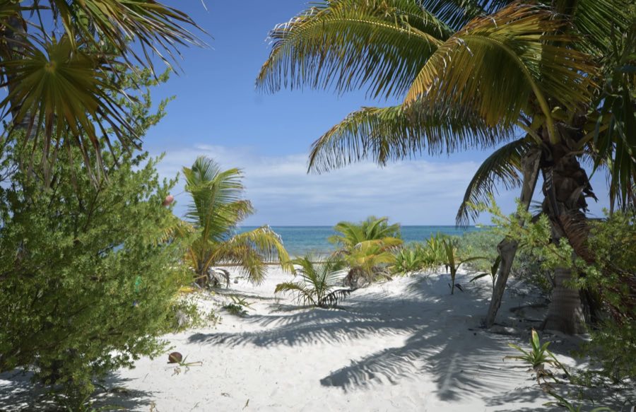 Seaside Paradise