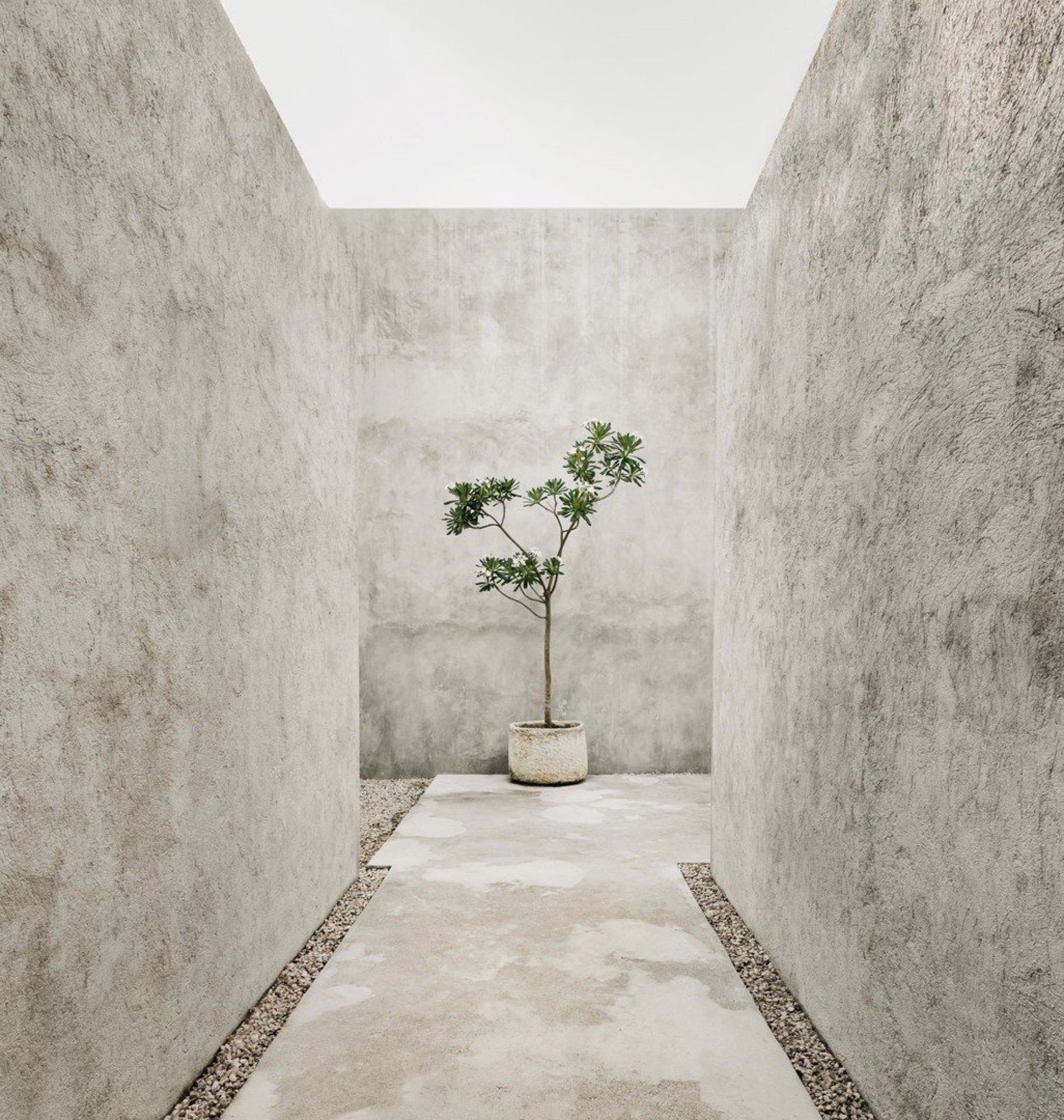 The Brutalist Estate
